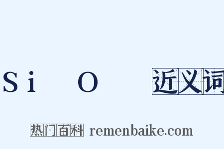 Si₄O₁₀近义词是什么意思的图片